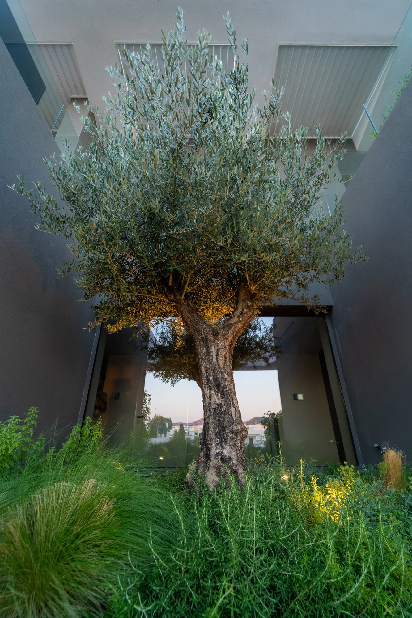 ΚΑΤΟΙΚΙΑ ΣΤΗ ΒΟΥΛΑ - ROOF GARDEN - 8