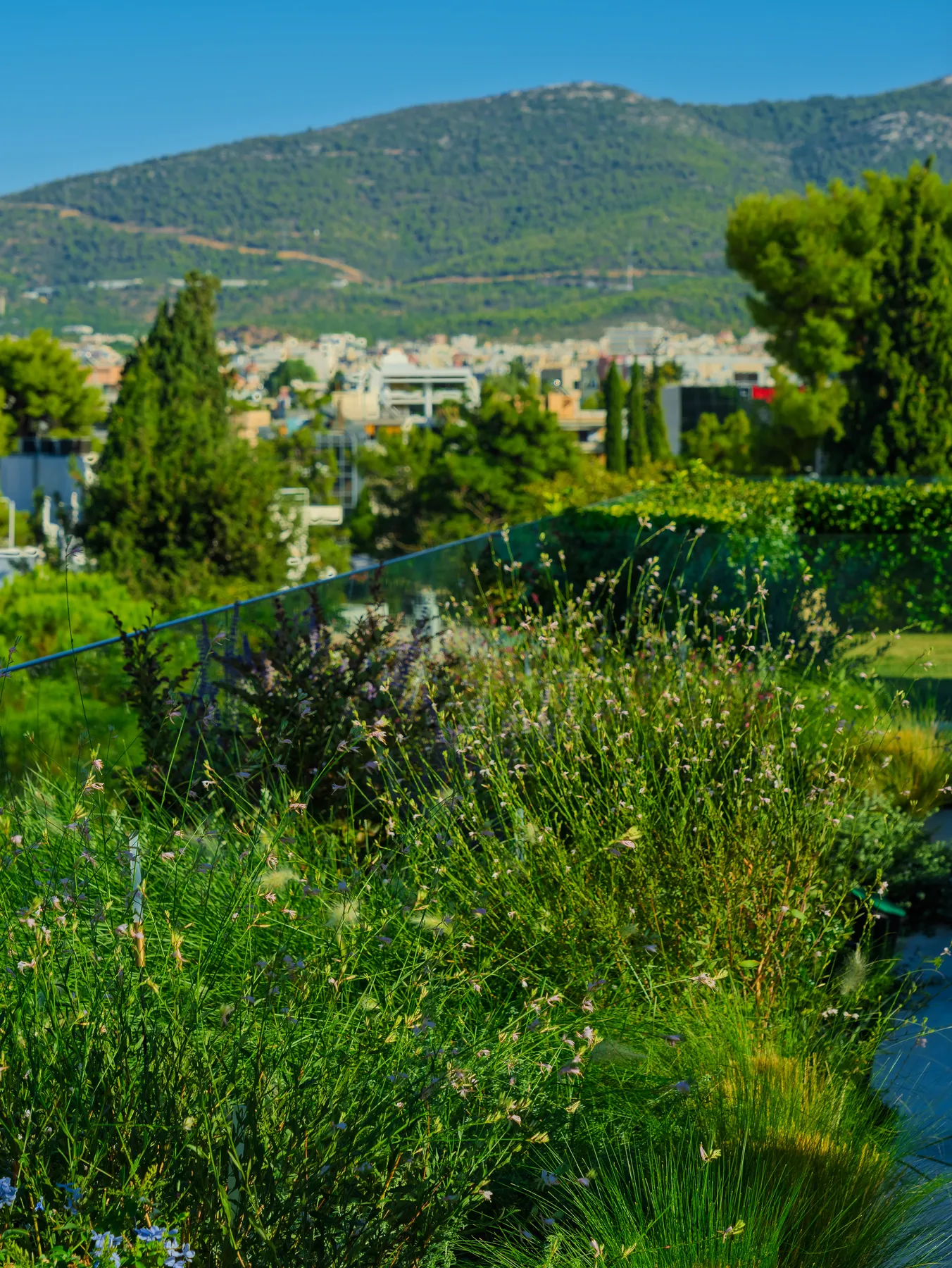 ΚΑΤΟΙΚΙΑ ΣΤΟ ΨΥΧΙΚΟ | ROOF GARDEN - 16