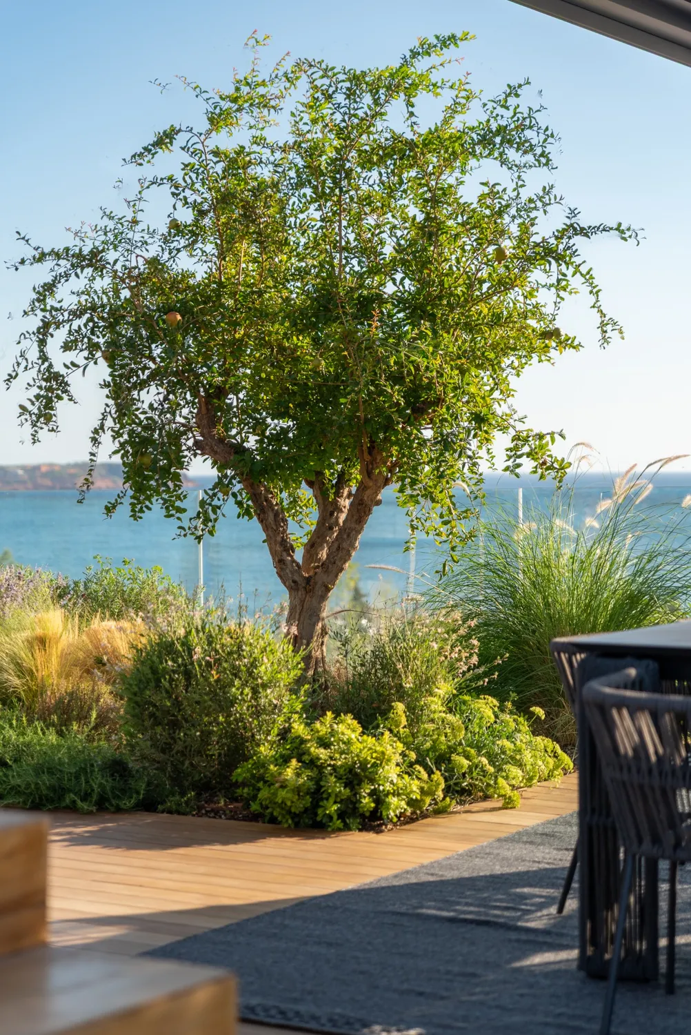 ΚΑΤΟΙΚΙΑ ΣΤΗ ΒΟΥΛΑ - ROOF GARDEN - 5