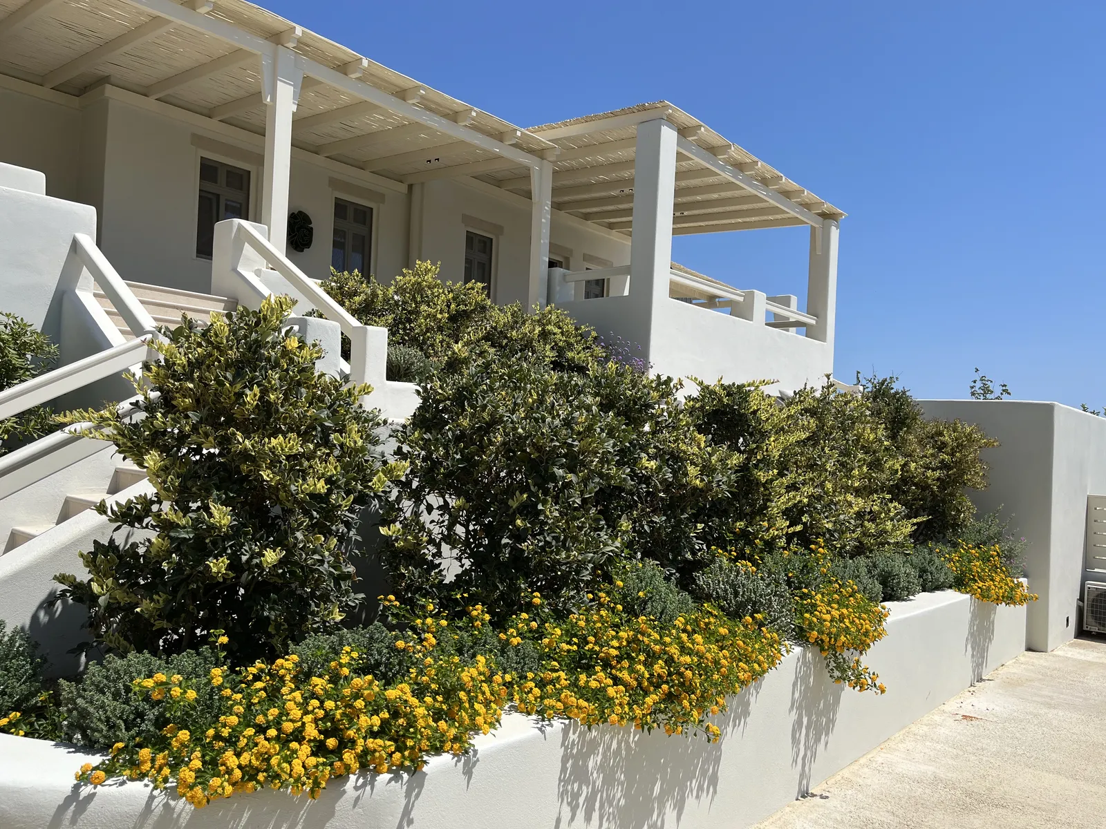 ΚΑΤΟΙΚΙΑ ΣΤΗΝ ΑΣΠΡΗ | ΠΑΤΜΟΣ - 20